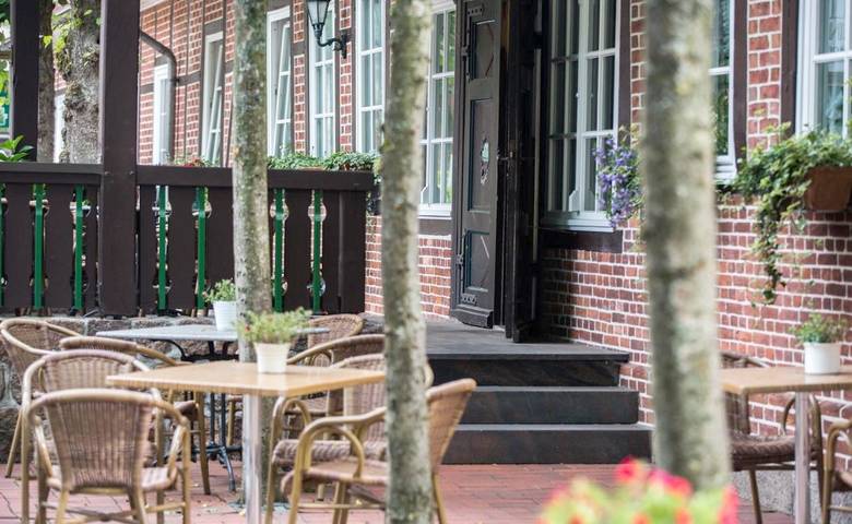 Hotel für 4 Personen, mit Terrasse und Garten in Egestorf - 2