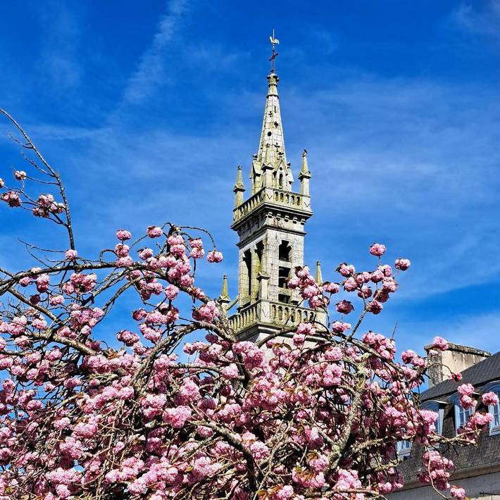 Gîte pour 3 personnes, avec vue dans Office De Tourisme De Huelgoat - 3