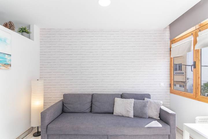 Gîte pour 3 personnes, animaux acceptés dans Arinaga - 3