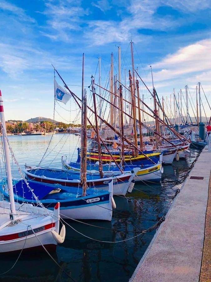 Gîte pour 6 personnes, avec vue et jardin dans Theatre Galli Sanary Sur Mer - 4