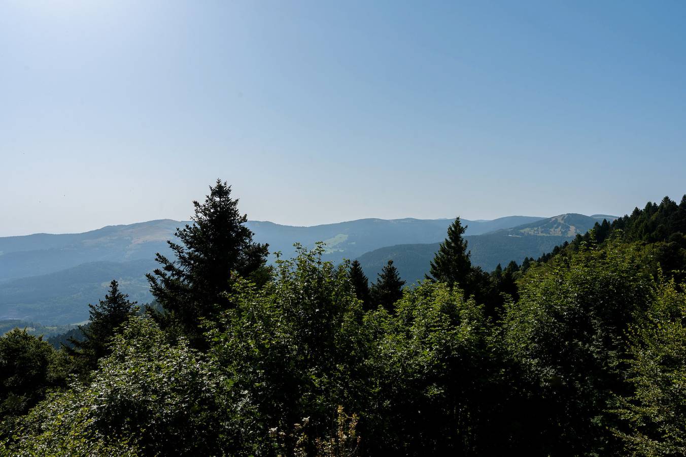 Ferienhaus 'Refuge Mil100' mit Bergblick, privater Terrasse und Wi-Fi in Metzeral, Regionaler Naturpark Belchen der Vogesen