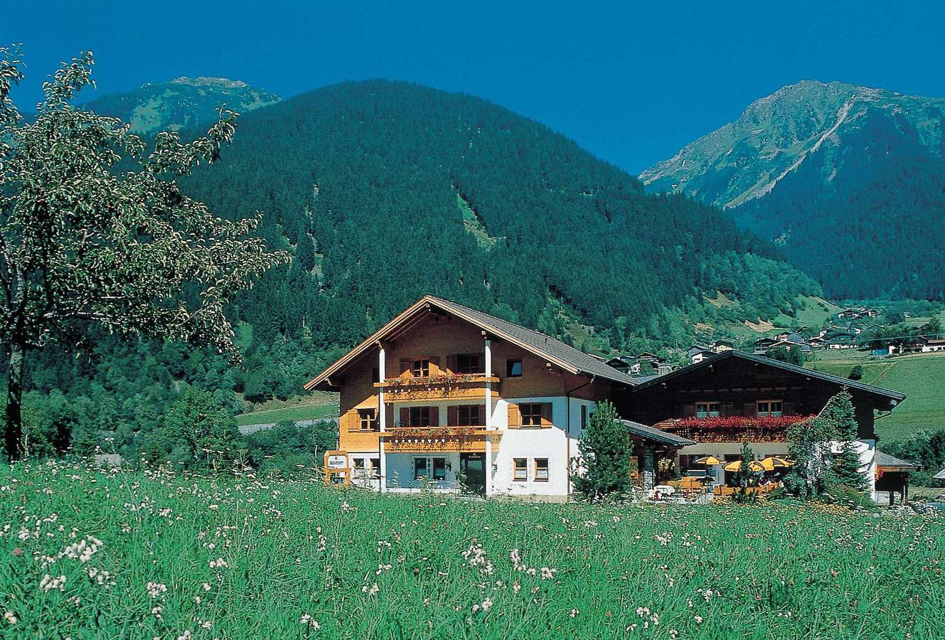 Ganze Ferienwohnung, Hotelappartement, Top 1 in Sankt Gallenkirch (Stadt), Sankt Gallenkirch
