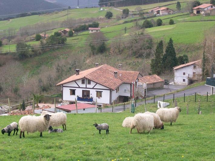 Casa rural para 6 personas, con Terraza y Jardín en Vizcaya - 4