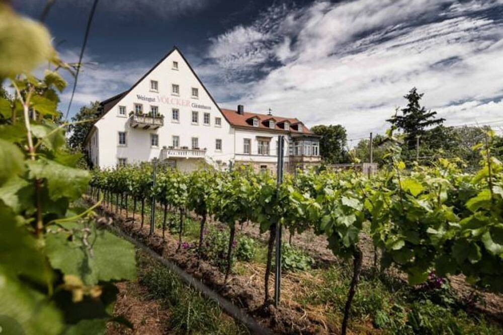 Einzelzimmer, Dusche, Wc, straßenseitig - Weingut - Gästehaus Völcker in Neustadt an der Weinstraße, Pfälzer Rheinebene