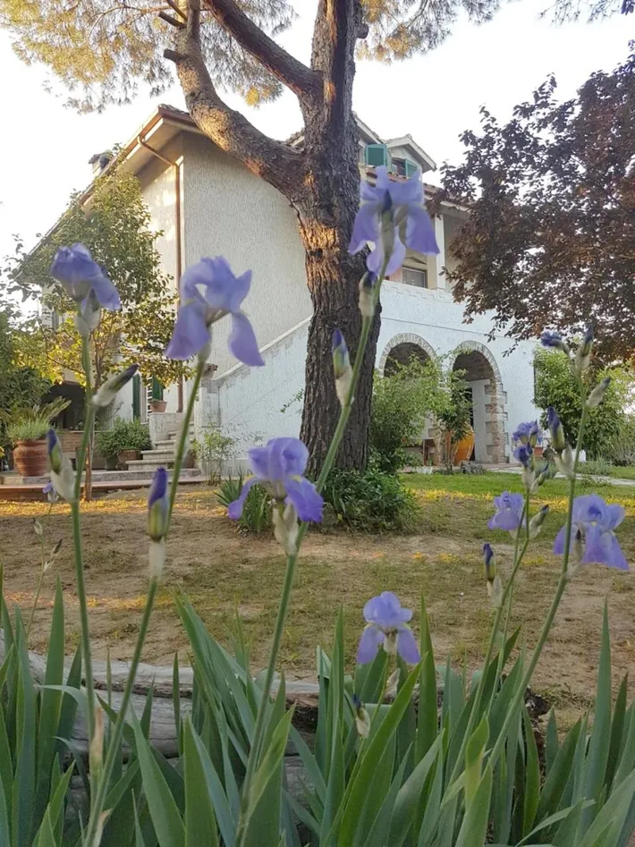 Alojamiento y desayuno para 2 personas, con vistas y jardín - 1