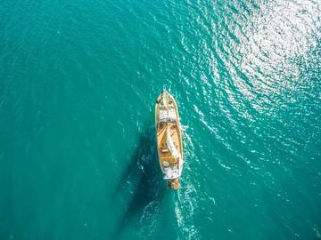 Boot für 10 Personen in Split, Kroatische Adria, Bild 1