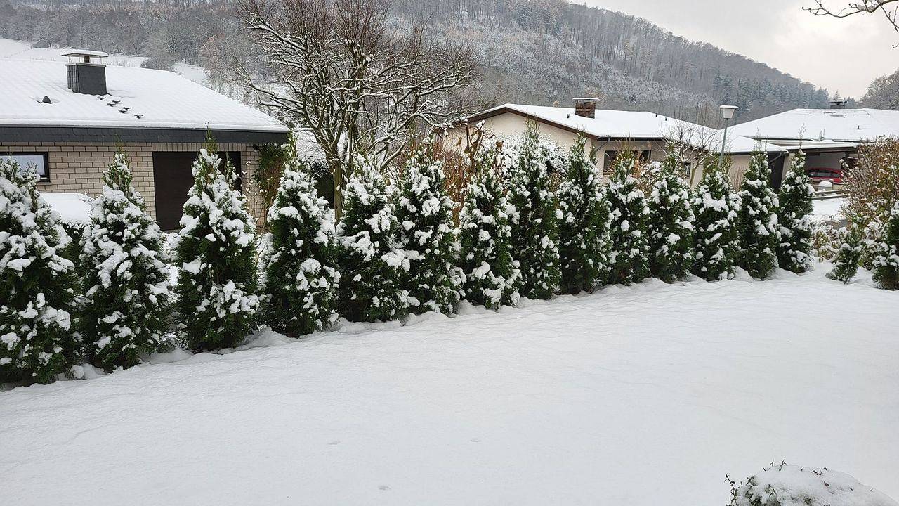 Ganze Wohnung, Appartement für 4 Personen (65 m²) in Bodenwerder in Bodenwerder, Landkreis Holzminden