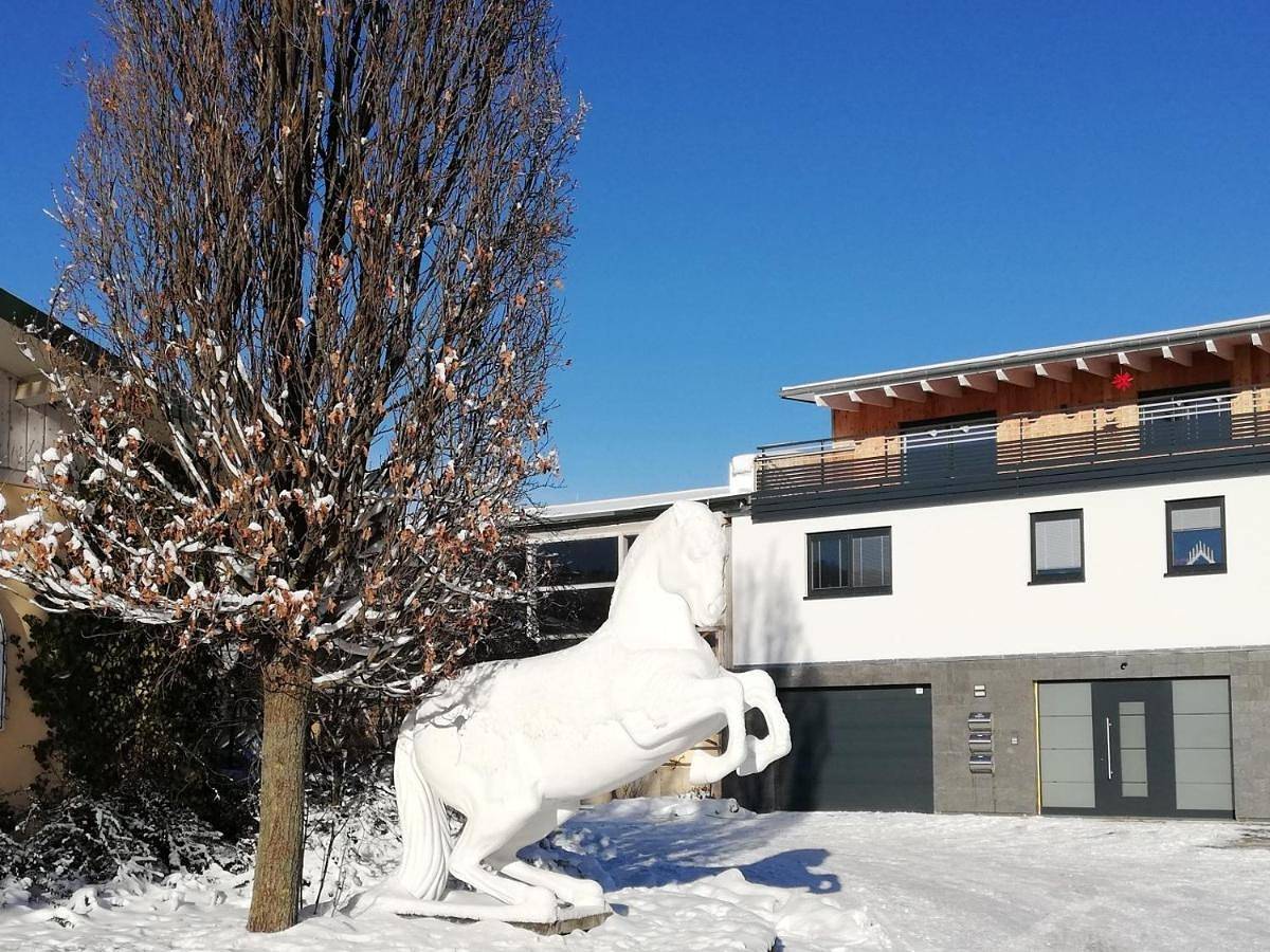 Ganze Wohnung, Apartment in Glashütte, Osterzgebirge