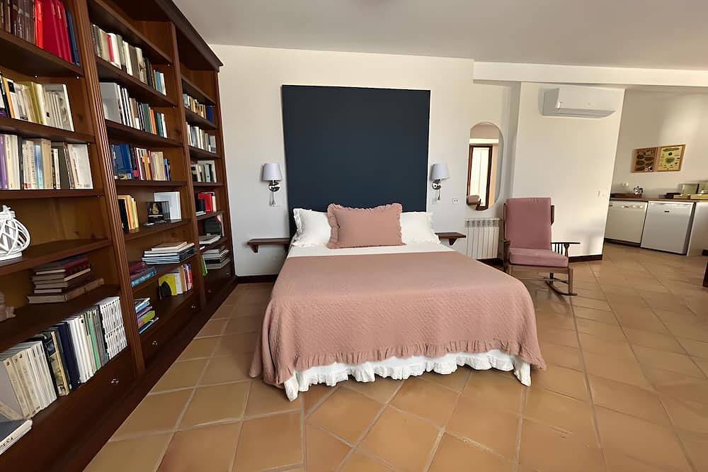 Apartamento entero, Estudio 'Biblioteca' con terraza compartida, Wi-Fi y aire acondicionado in Consuegra, Provincia de Toledo