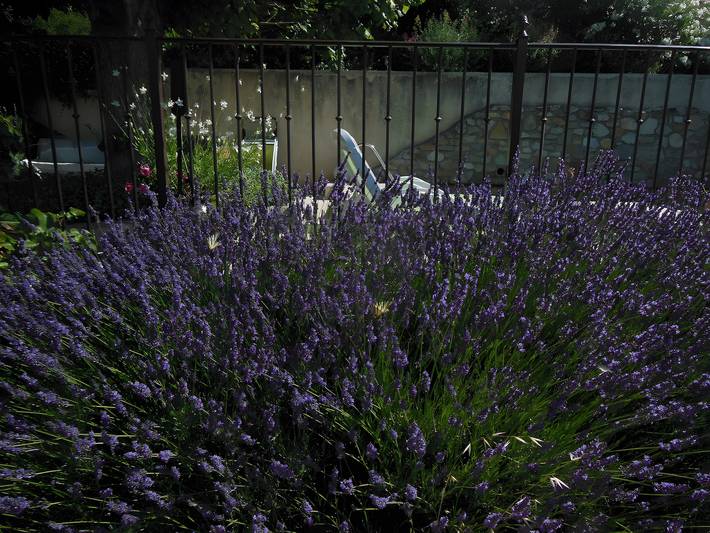 Ferienhaus für 6 Personen, mit Garten in Bédoin - 4