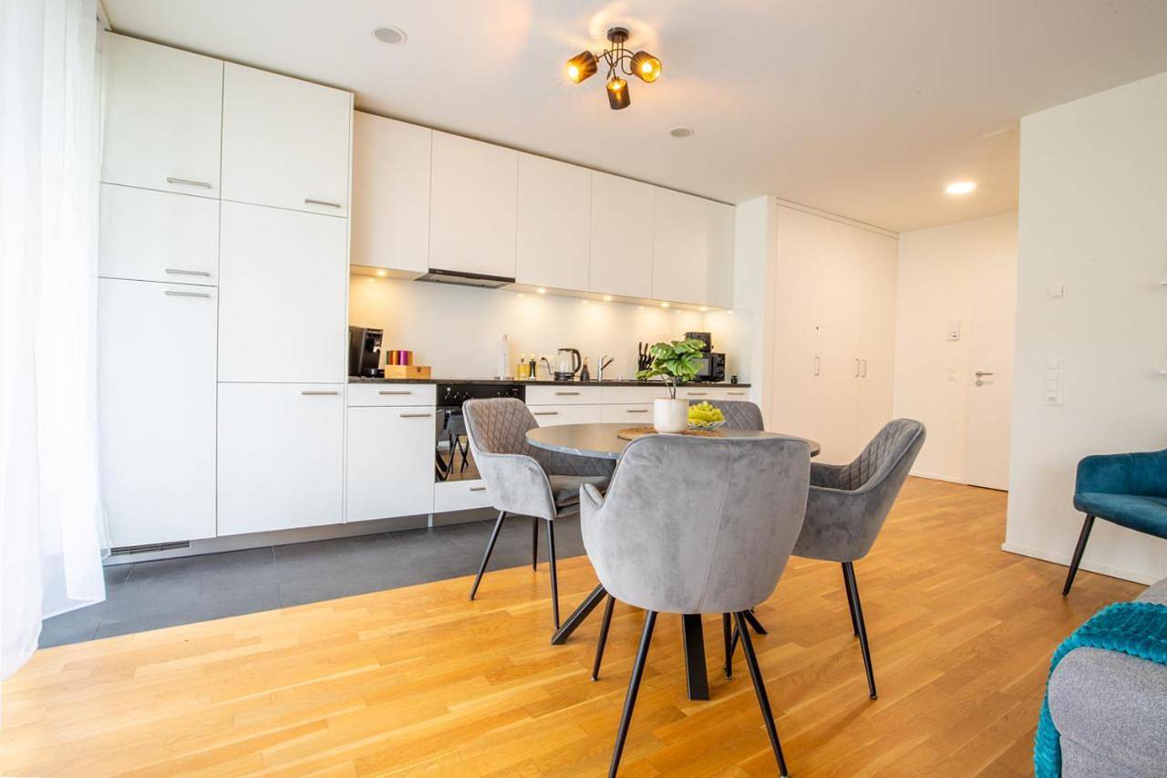 Geheel appartement, One-Bedroom Apartment in Basel Zustellkreis, Bazel