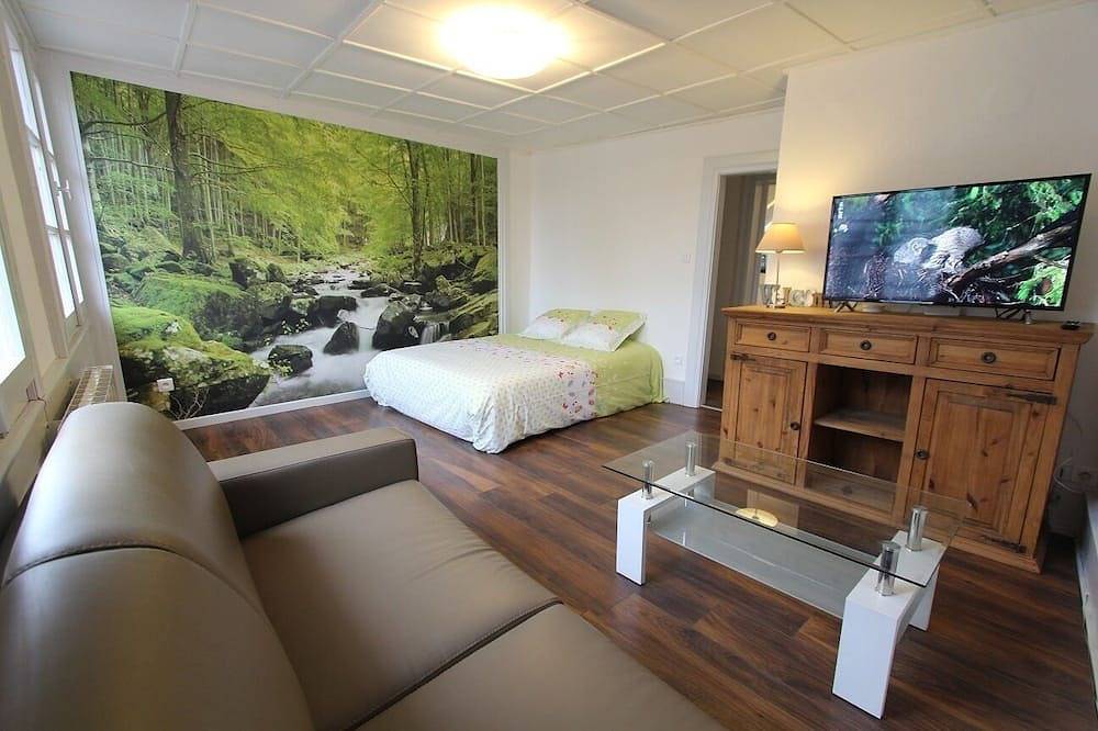 Ganze Wohnung, Apartment in the heart of Riquewihr in Riquewihr, Regionaler Naturpark Belchen der Vogesen