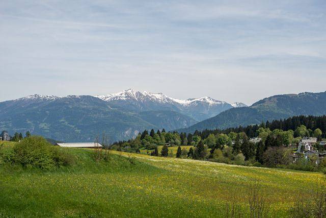 Ganze Wohnung, Edelweiss Ferienwohnung Casa Cassons für 6 Personen in Flims-Dorf, Flims