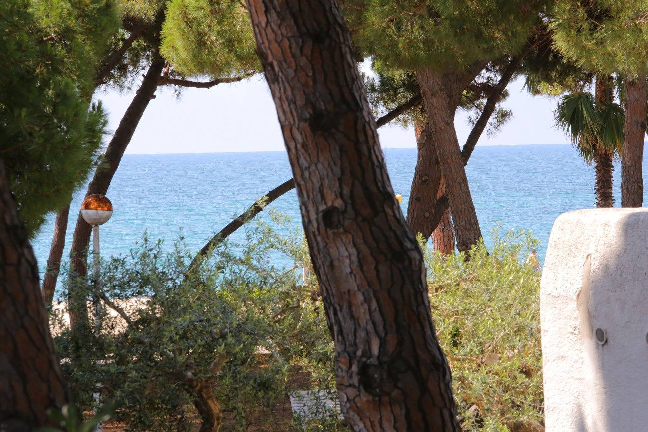 Villa Sa Calma in Vilafortuny, Cambrils