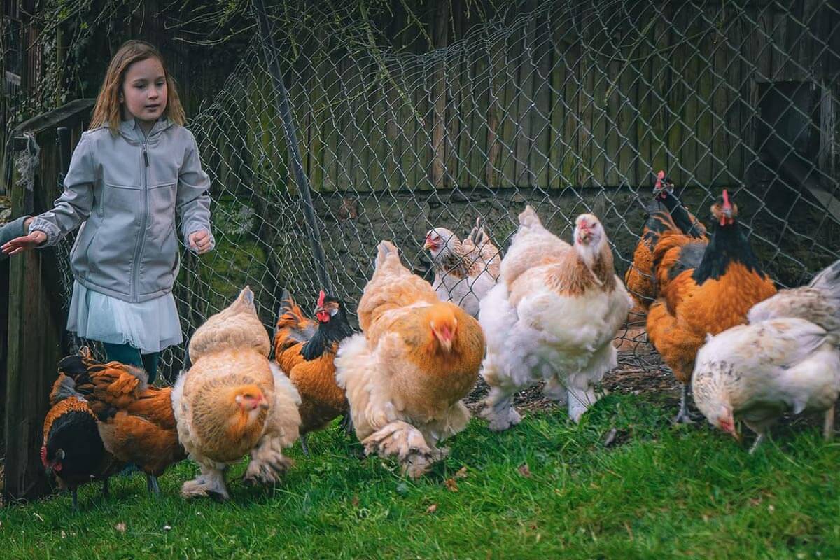 Ferme pour 2 personnes avec balcon in Kirchzell, Main-Odenwald