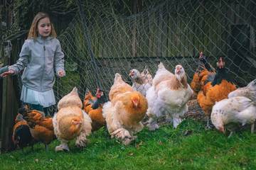 Bauernhof für 2 Personen in Kirchzell, Main-Odenwald, Bild 4