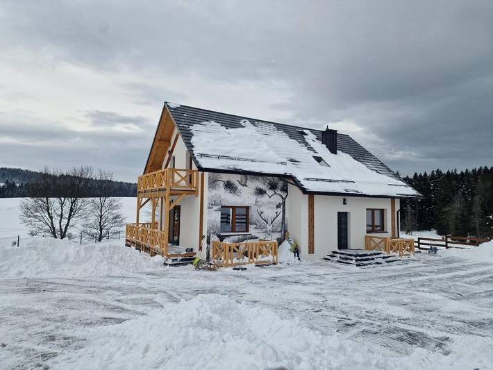 Willa dla 14 osób, z Balkon i Jacuzzi oraz Taras i Ogród w Karpaty (Polska)