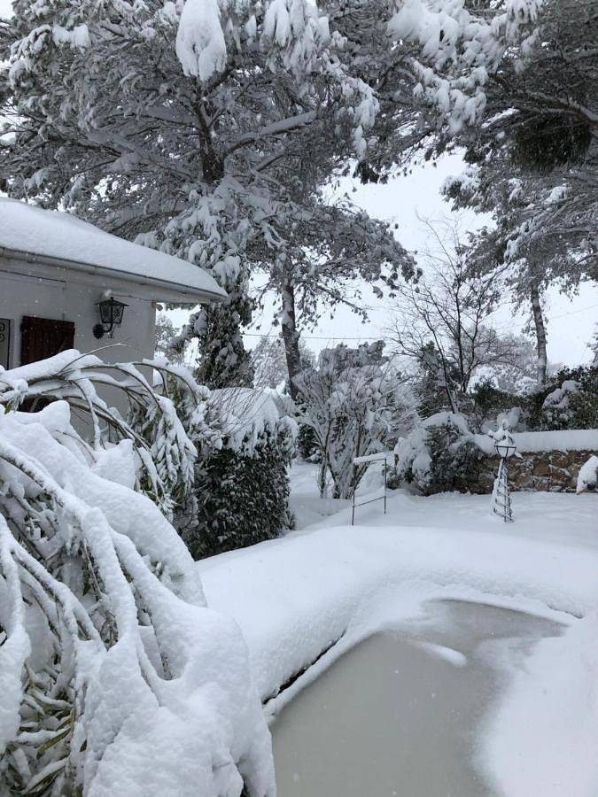 Casa rural para 20 personas, con piscina además de vistas y terraza, Se admiten mascotas en Albalate de Zorita - 4