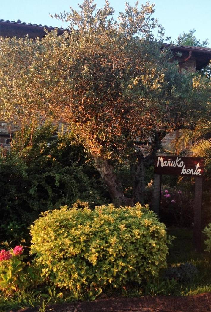 Casa rural para 2 personas, con terraza y jardín en Vizcaya - 2