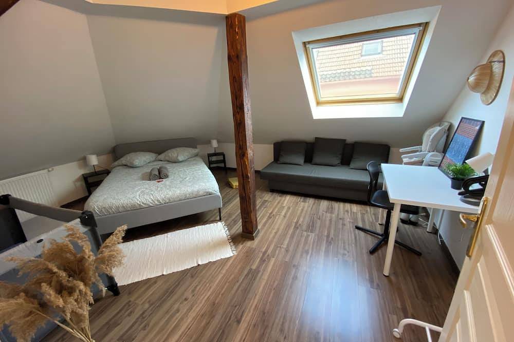 Entire apartment, Strasbourg-chaleureux-parking-wi-fi-tv-proche Hypercentre in Bischheim, Strasbourg region