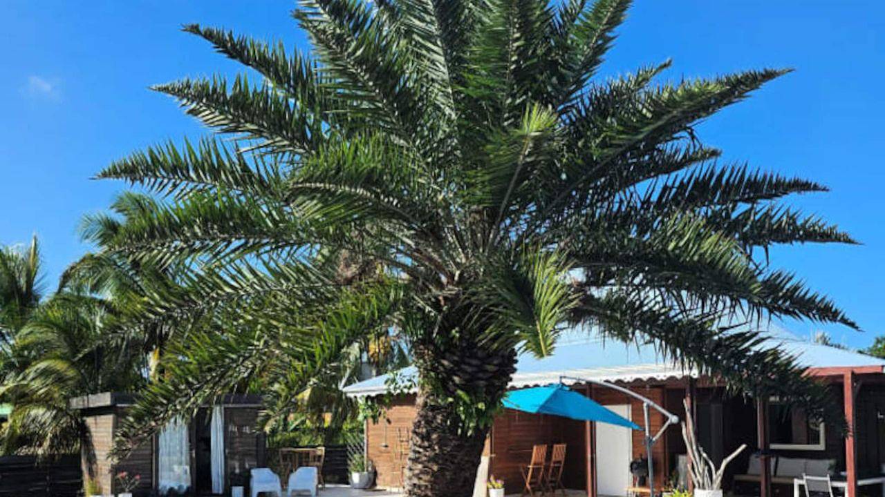 Entire holiday apartment, Ferienwohnung für 6 Personen (112 m²) in Le Moule, Guadeloupe (Caribbean)