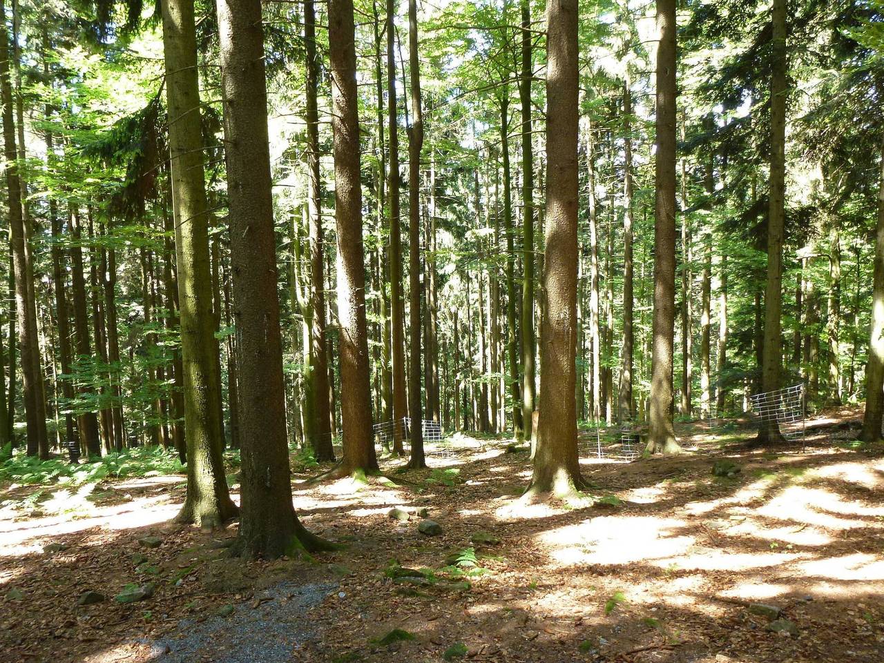 Ganze Ferienwohnung, Haus 58 Fewo Eg links - Haus 58 Fewo Eg links in Kummersdorf (Arrach), Arrach