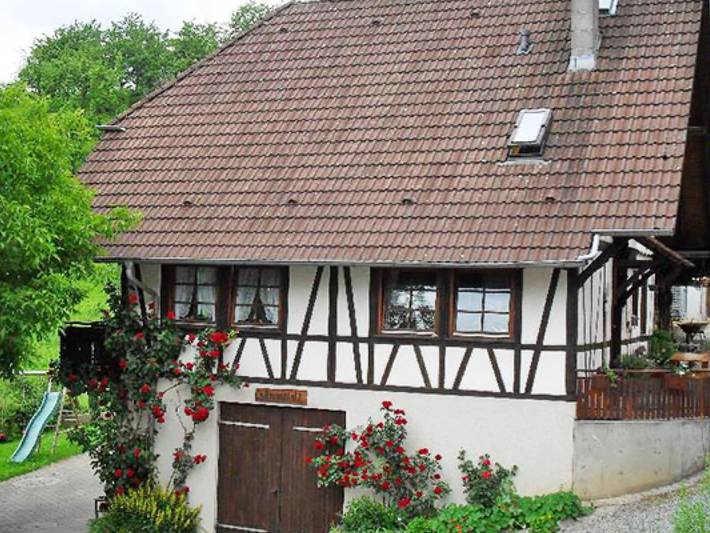 Ferienwohnung für 5 Personen, mit Terrasse und Garten in Haslach im Kinzigtal