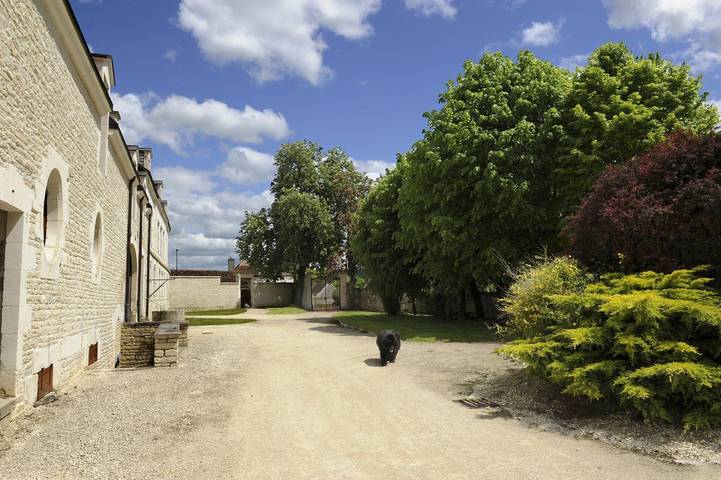 Gîte pour 6 personnes, avec terrasse et jardin, animaux acceptés dans l' Aube - 2