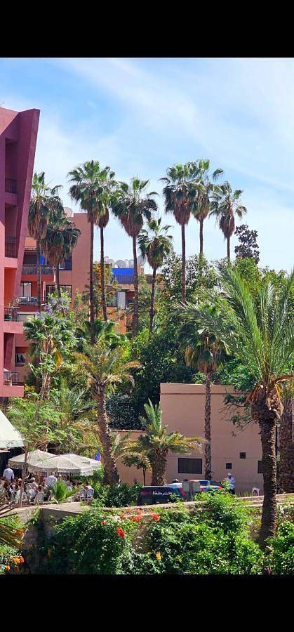 Gîte pour 7 personnes, avec jardin, animaux acceptés dans Jardin Majorelle Marrakech