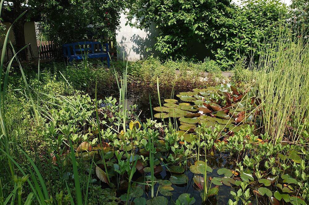 Aussergewöhnliche Ferienwohnung in ausgebauter Scheune im Naturpark Stromberg in Sachsenheim, Kraichgau