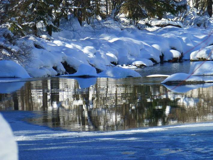Ferienwohnung für 3 Personen, mit Garten und Terrasse in Bodensee-Vorarlberg - 2
