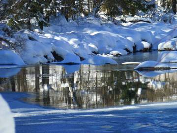 Ferienwohnung für 3 Personen in Hittisau, Allgäuer Alpen (Österreich), Bild 1