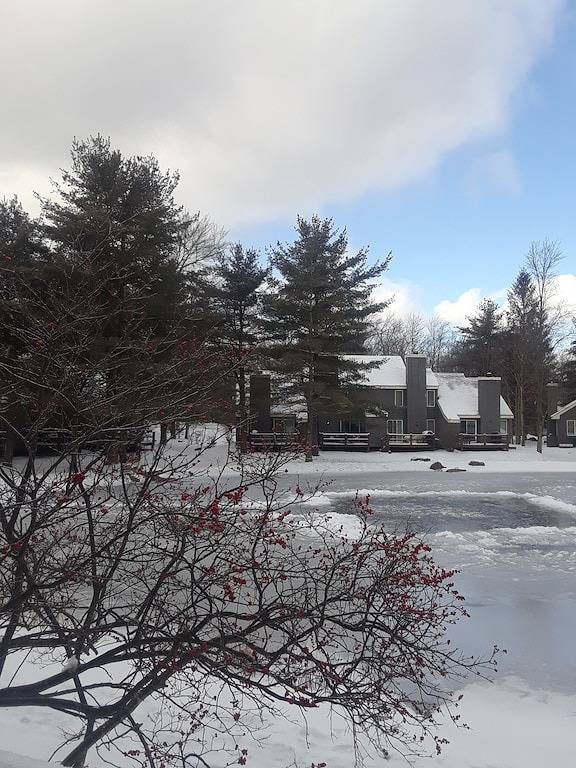 Beautiful Chalet in Lake Harmony at Jack Frost Mtn with scenic Pond View in Blakeslee, Carbon County (PA)