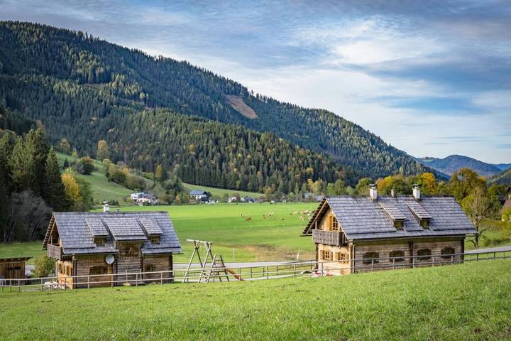 Ferienpark für 6 Personen, mit Ausblick und Garten, mit Haustier in Österreich - 2