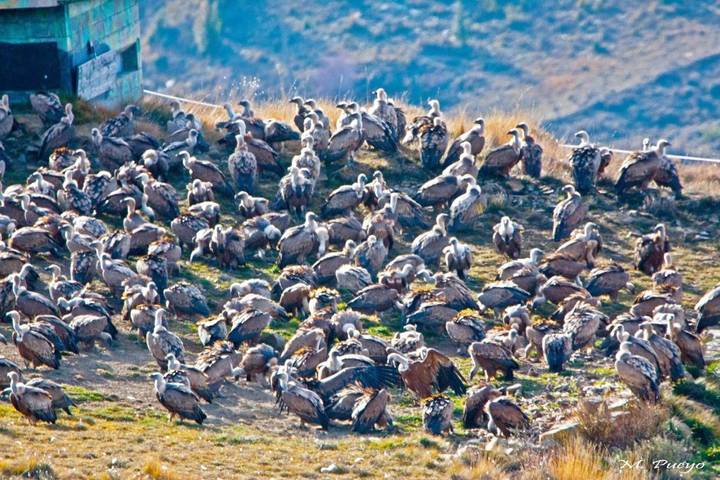 Casa de vacaciones para 10 personas, con balcón y vistas en Pallars Jussà - 3