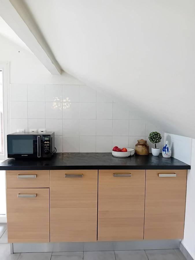 Appartement entier, Bright 2-bedroom apartment between Geneva, Cern and Jura in Ségny, Gex