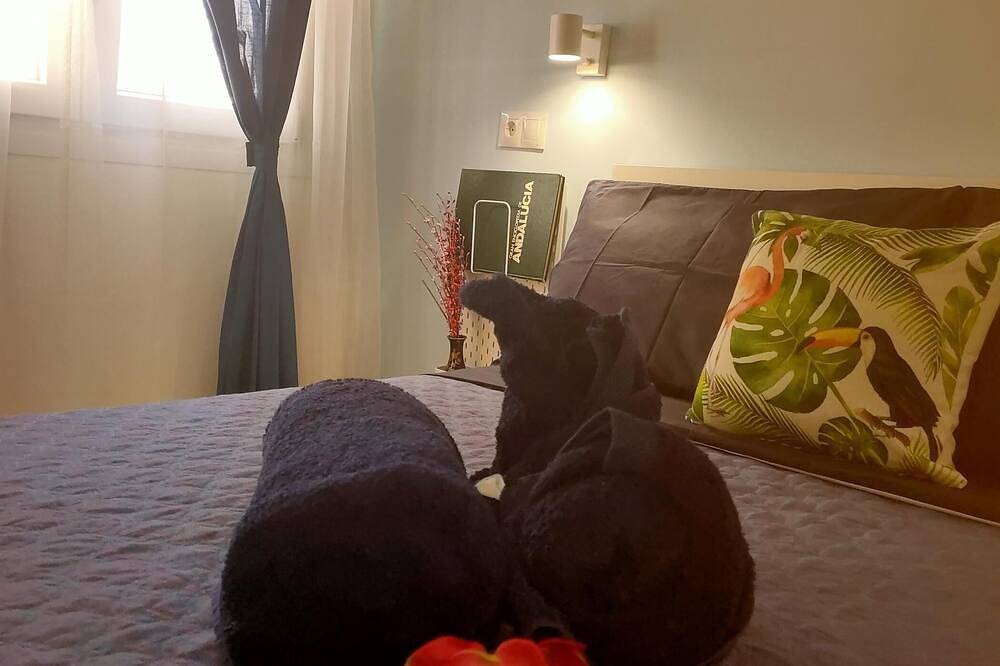 Hel lejlighed, Lagunillas Voyager apartment 1 bedroom apartment in Malaga City in Centro (Málaga), Malaga