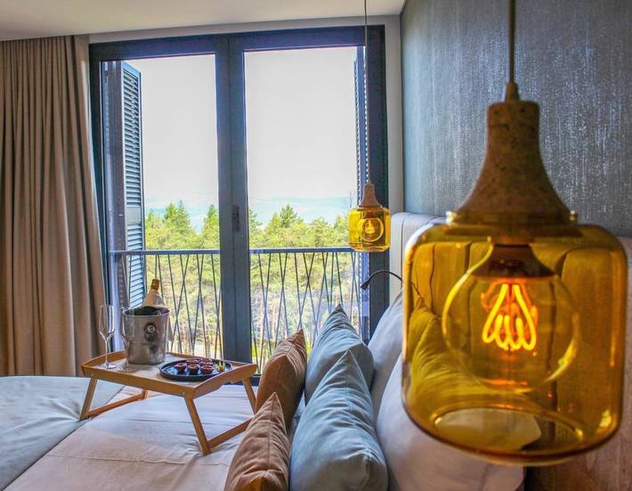 Hôtel pour 3 personnes, avec piscine et jardin ainsi que jacuzzi et sauna à Ribeira de Pena - 4