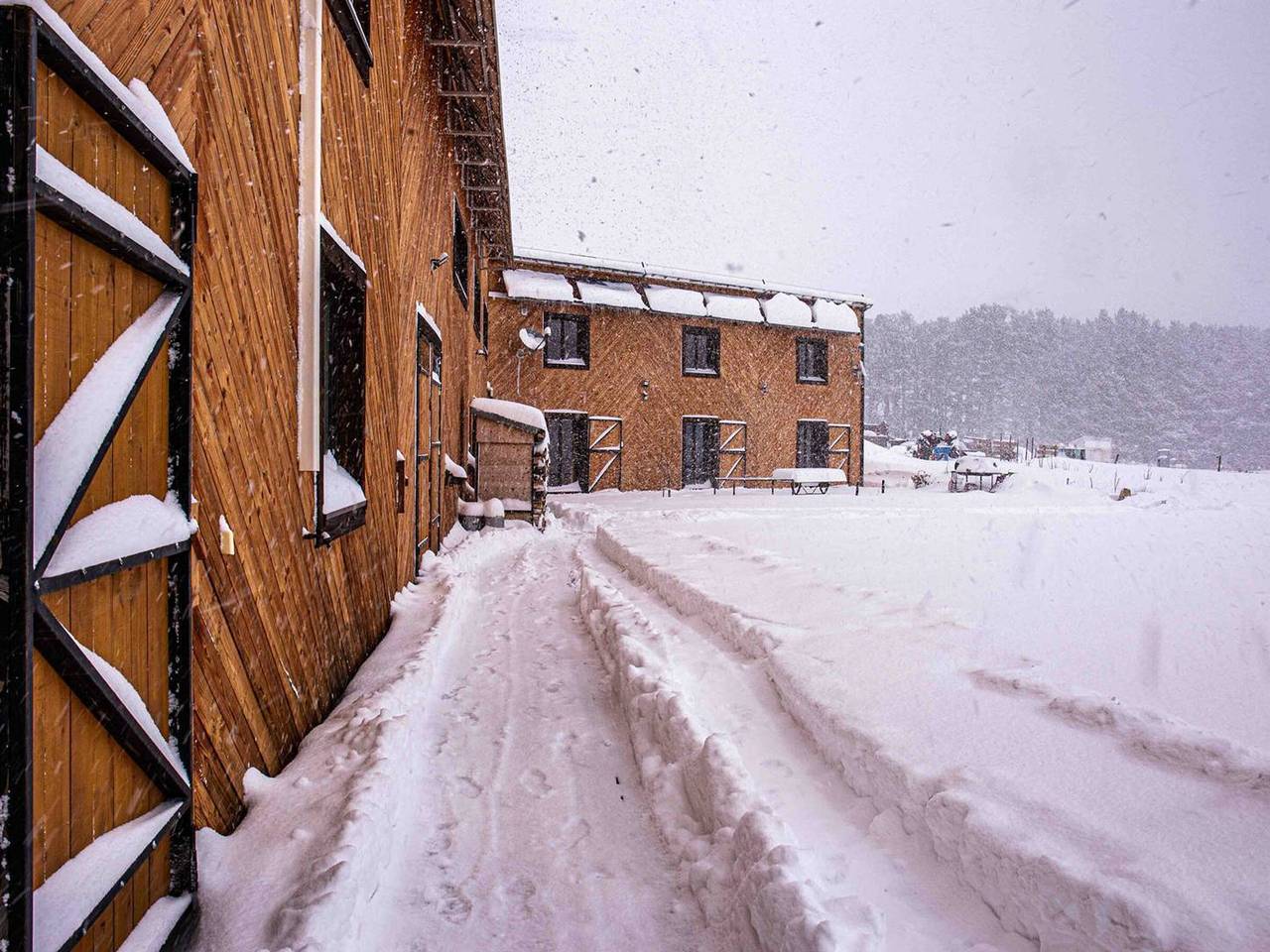 Prestige House on Forest Edge with Wifi and Parking at Les Angles in Les Angles, Prades region