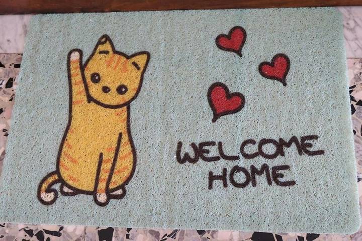 Gîte pour 5 personnes, avec terrasse et vue, animaux acceptés dans Asti - 2