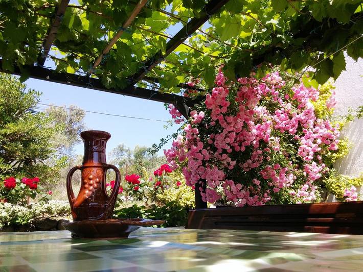 Ferienhaus für 5 Personen, mit Terrasse auf Rab - 4