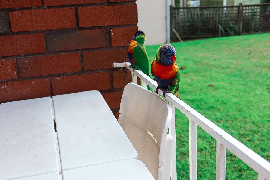 Ganze Wohnung, The Heart of Huskisson in Huskisson, Jervis Bay