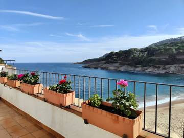 Location De Vacances pour 3 Personnes dans Aigua Xelida, Palafrugell, Photo 2