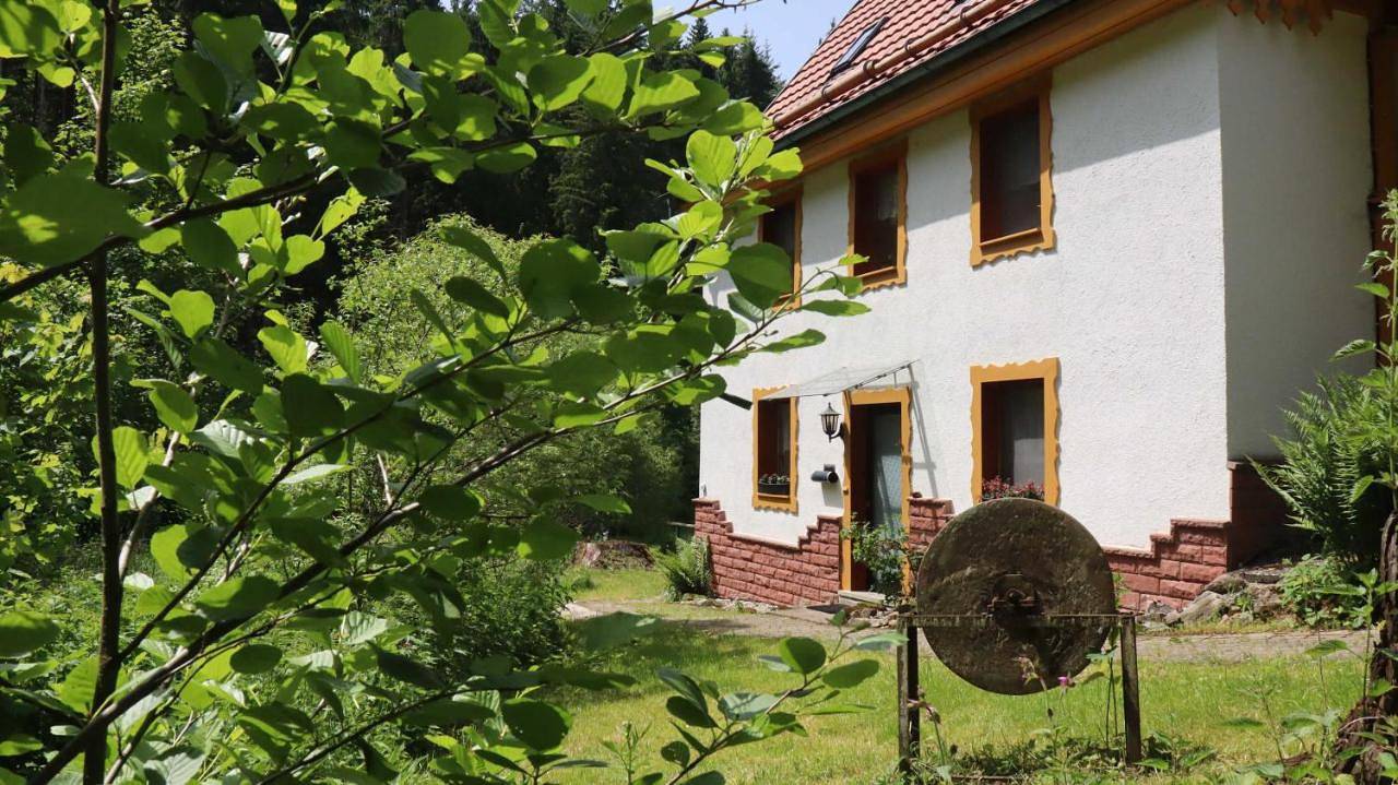 Ganze Wohnung, Haus Heimburg in Rötenbach (Friedenweiler), Friedenweiler