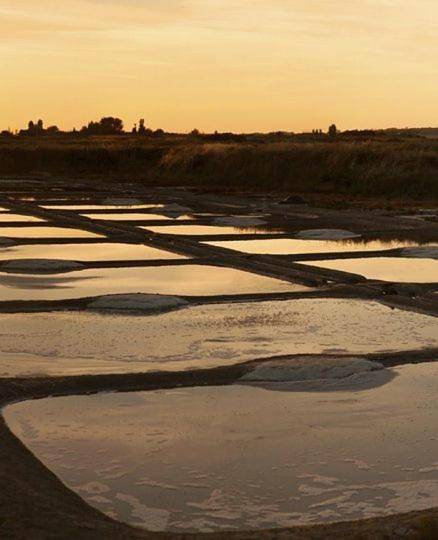 Gîte pour 4 personnes, avec jardin dans Plage de Port-Lin - 2