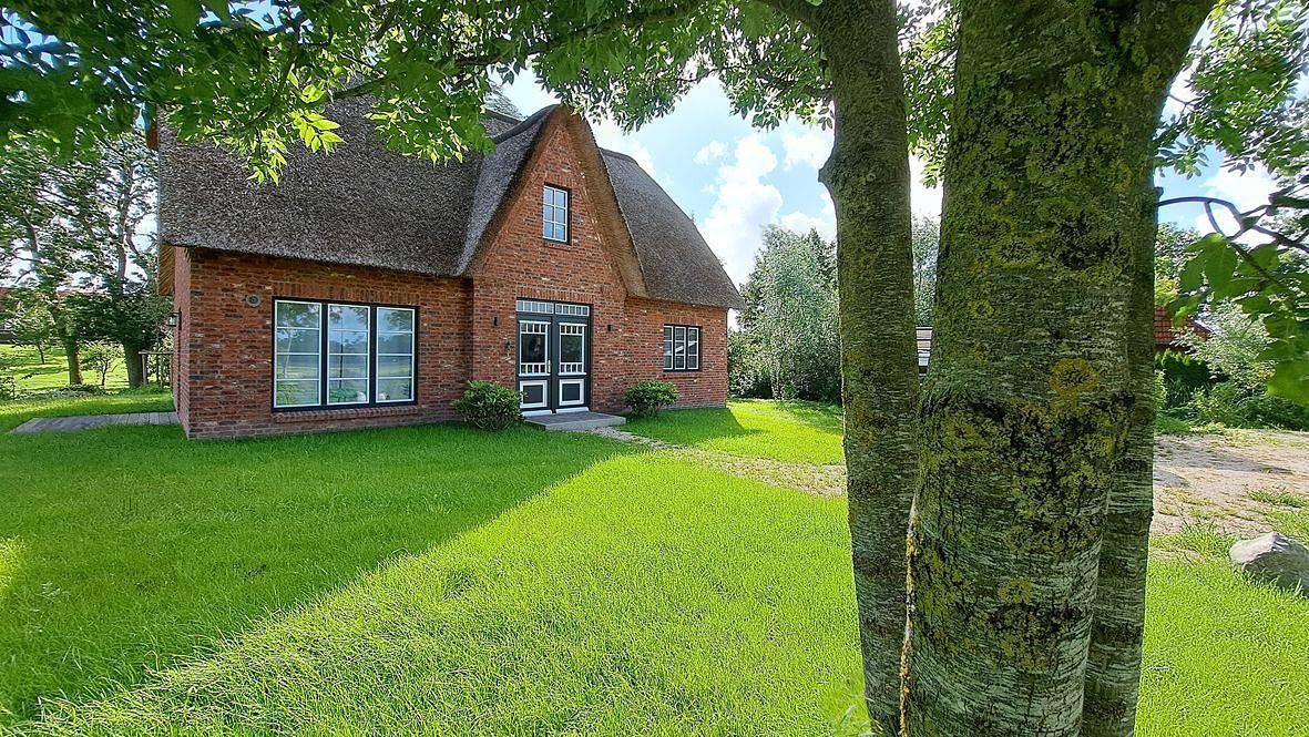 Modernes Reet gedecktes Ferienhaus für 4 in der Hafenstadt Tönning in Tönning, Halbinsel Eiderstedt