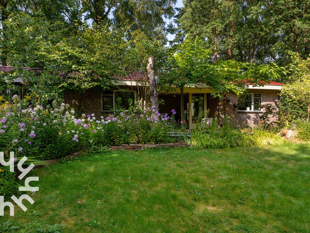 Komfortables 4-Personen-Ferienhaus inmitten der Natur bei Hoogeveen in Pesse, Nationalpark Dwingelderveld