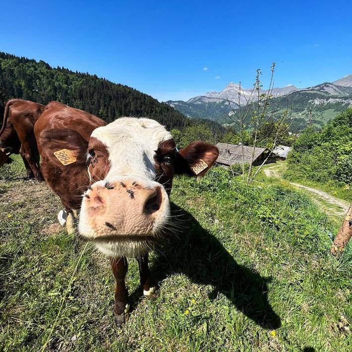 Appartement de vacances pour 4 personnes, avec vue et jardin, animaux acceptés