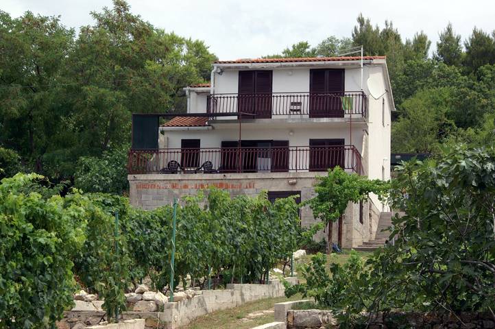 Ganze Wohnung, 1-Zimmer-Ferienwohnung am Strand Sepurine, Prvic A-4238-a in Dalmatinische Inseln