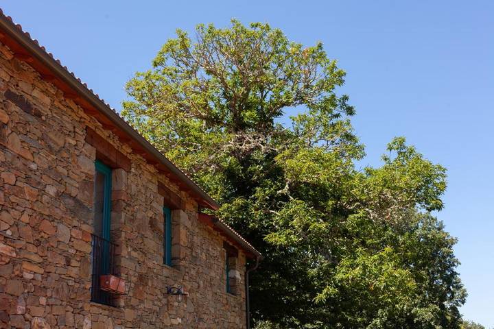 Casa rural para 22 personas, con sauna además de jacuzzi y jardín en Provincia de Orense - 4